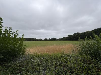 Picture 23